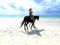 /album/fotogaleria-zanzibar-zajazd-vy-a-my1/zanzibar-zajazd-dovolenka-37-jpg1/